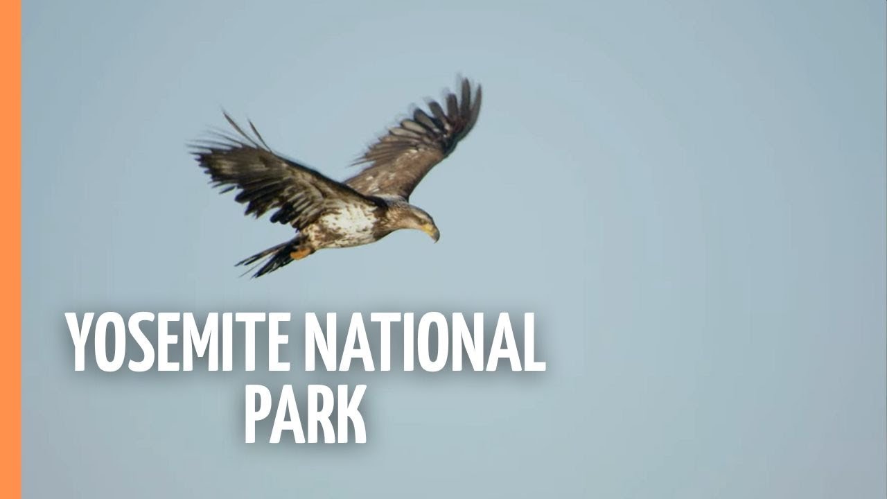 A place of superlative - Yosemite National Park | Full Documentary