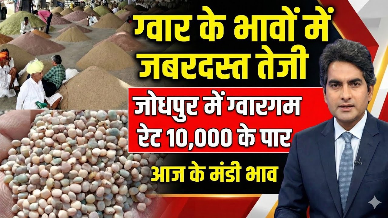 LIVE मंडी भाव 🔴 | जोधपुर मण्डी में ग्वार गम रेट 10,000 के पार 