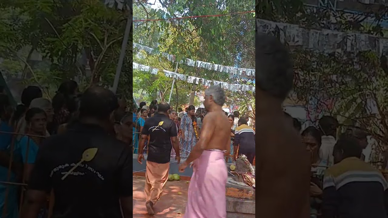 തൈപൂയ്യ കാവടി ശൂല കാവടി 🌹❤️🥰🥰