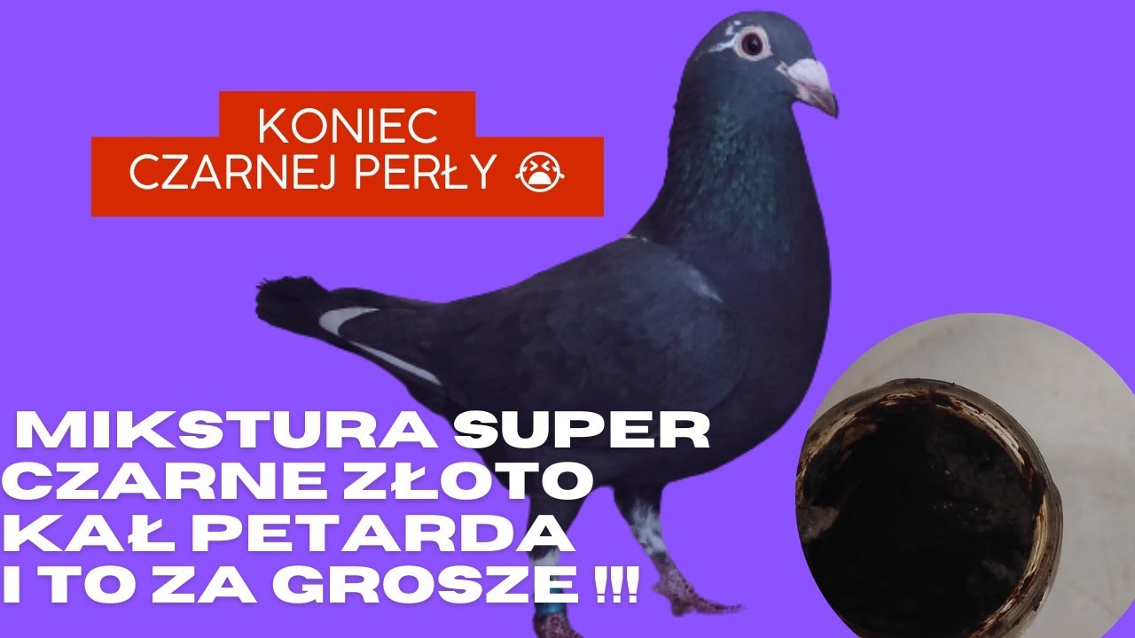 Czarne złoto za grosze 😂 Super kał, koniec Czarnej Perły 😭