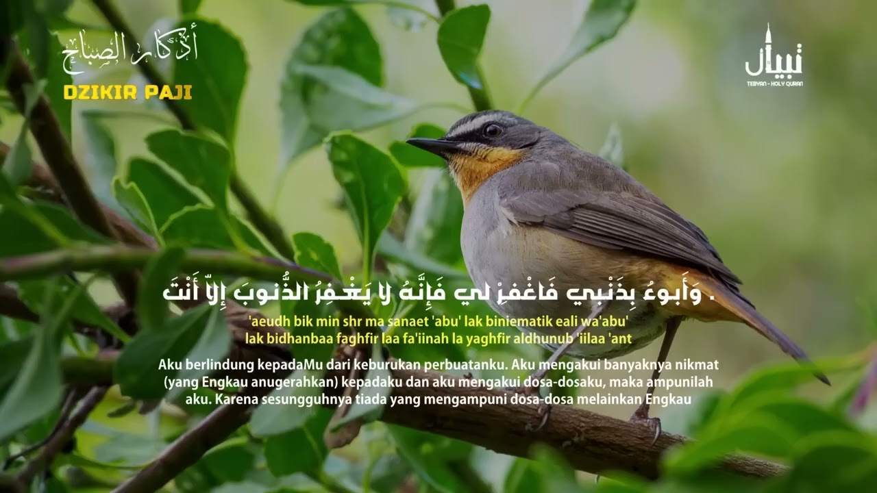 اذكار الصباح بصوت يريح القلب والعقل  حصن نفسك وبيتك من الشيطان للقارئ علاء عقل
