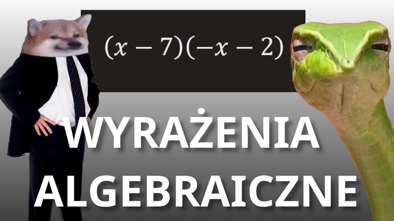 Wyrażenia algebraiczne z Dopaminowym Wężem