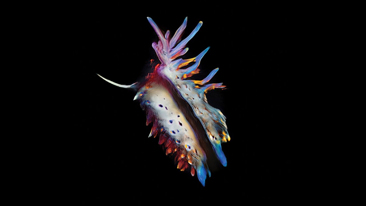 Sub Focus & Metrik - Trip (wizualizator)