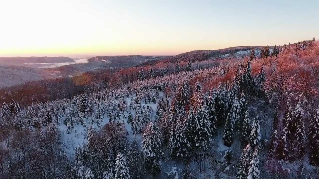 Winter Night Ambient ❄️ Deep Sleep Music | Fall Asleep Instantly