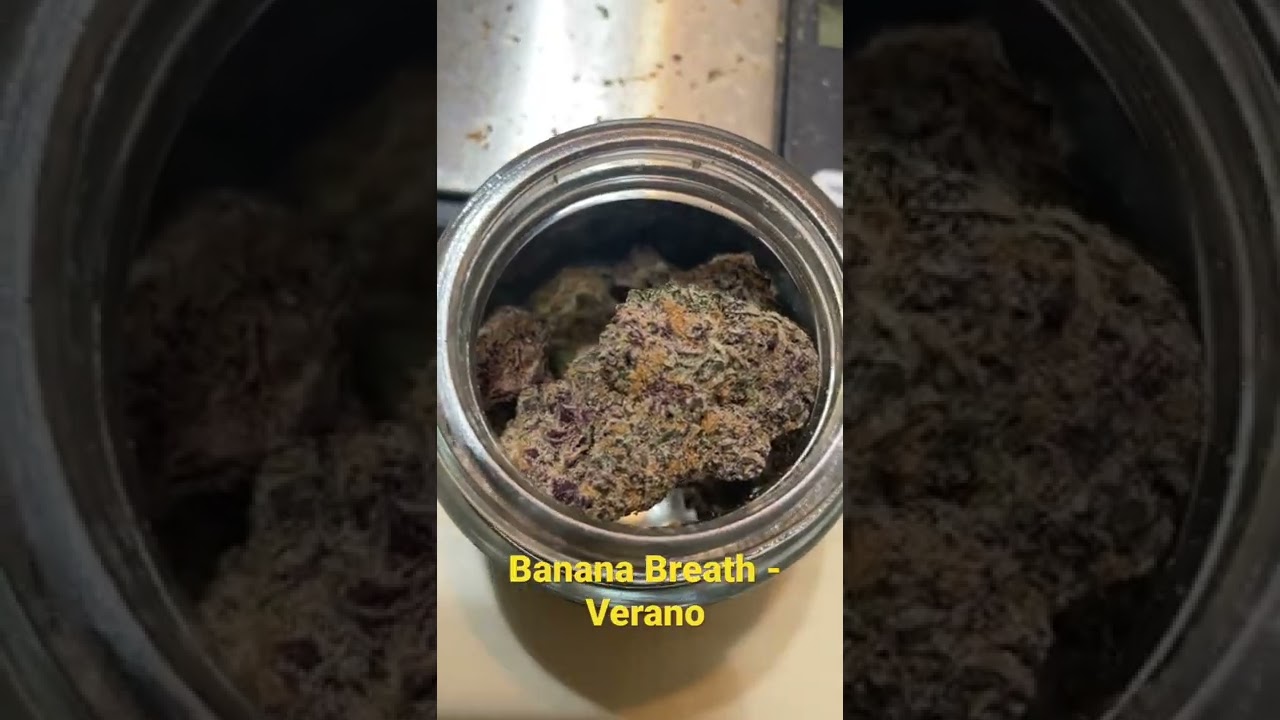 Banana Breath- Verano