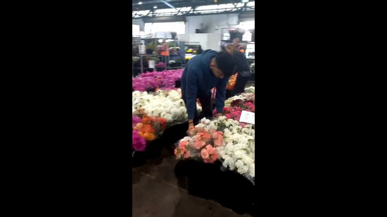Sydney Flower Market Tour | Australia&rsquo;s Largest Flower Market at Dawn&nbsp;With a Florist