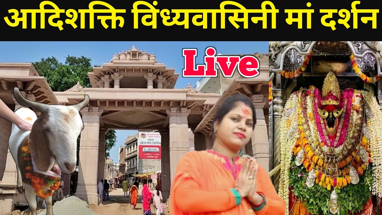 आदिशक्ति है मां विंध्यवासिनी / आज भी दी जाती है मां को बकरे की बलि / Vindhyachal Mata Live darshan