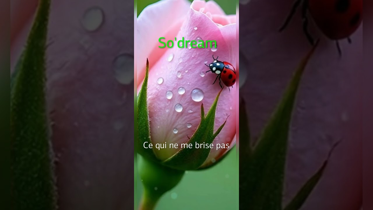 - So'dream - Ce qui ne me brise pas -