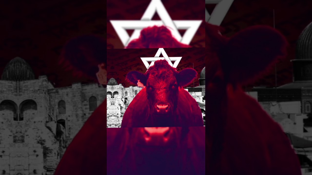 April 8 , Israel is going to do?#solareclipse#redcow#dajjal#masjidalaqsa#muslim#whatsappstatus