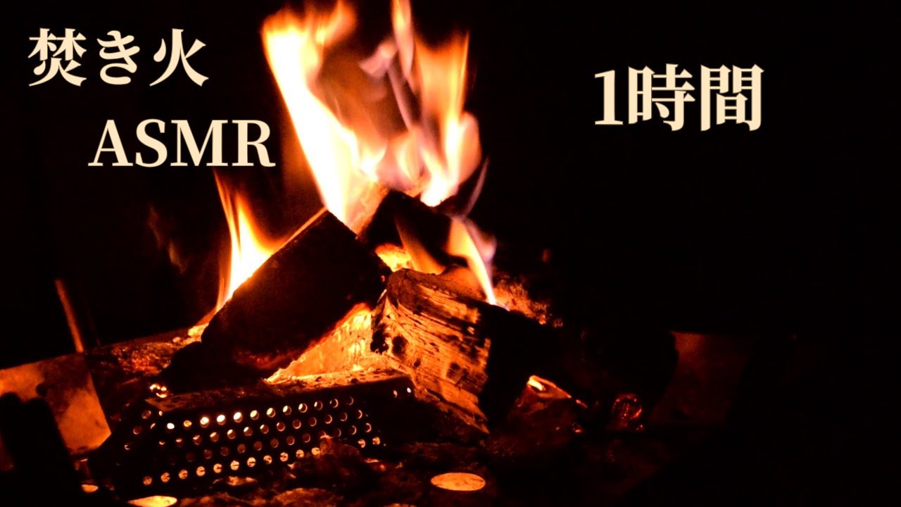 【夜の焚き火ASMR】焚き火の音 1時間｜作業用・睡眠用BGM