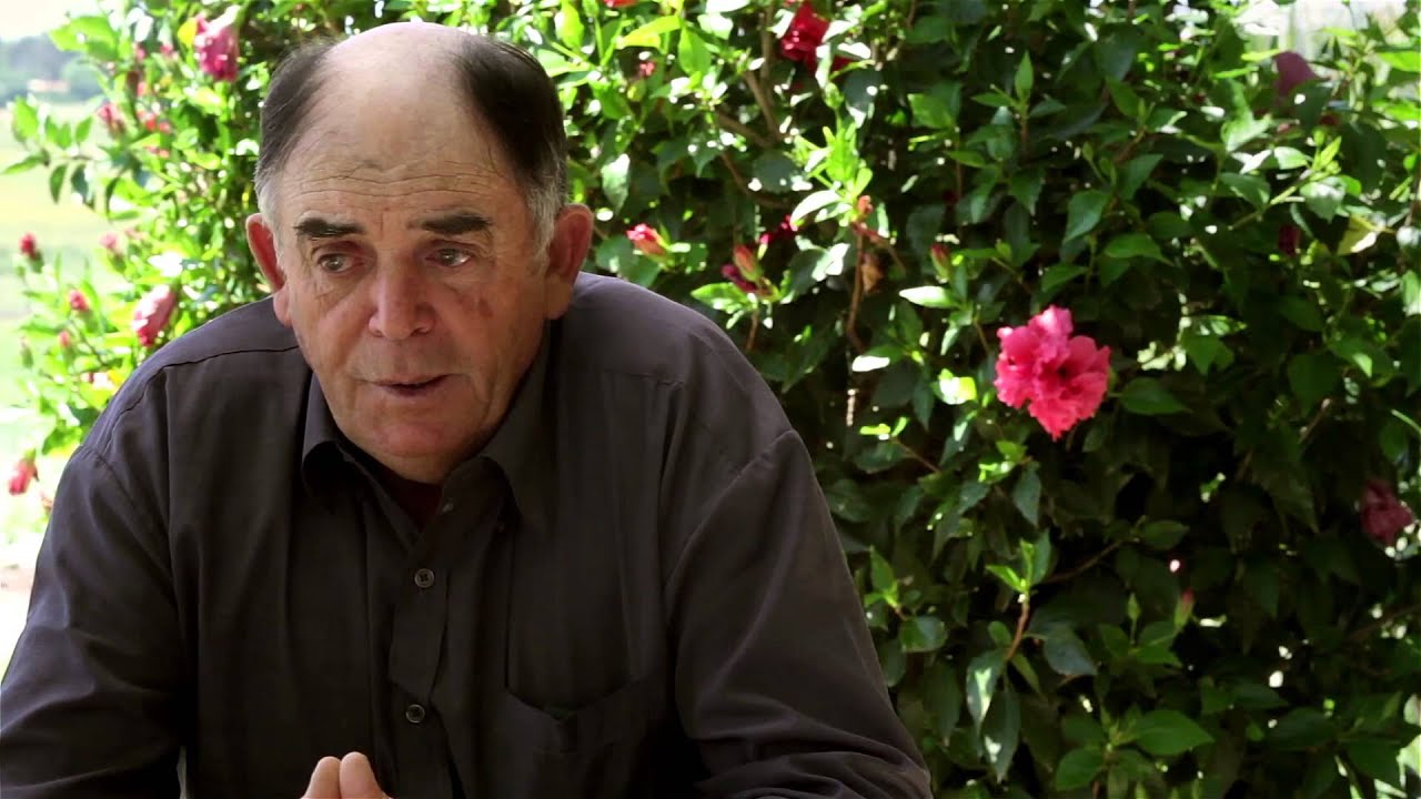 Documental Emprendimiento Chips de boniatos - 
