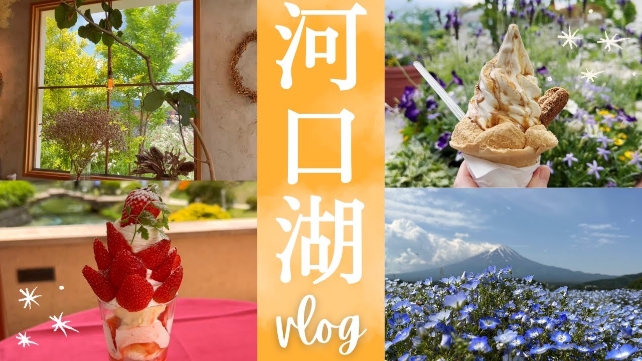 【河口湖旅行vlog】こだわり観光スイーツ満喫の1泊2日の旅！富士大石ハナテラス/音楽と森の美術館/ネモフィラと富士山【Japan/kawagutiko】