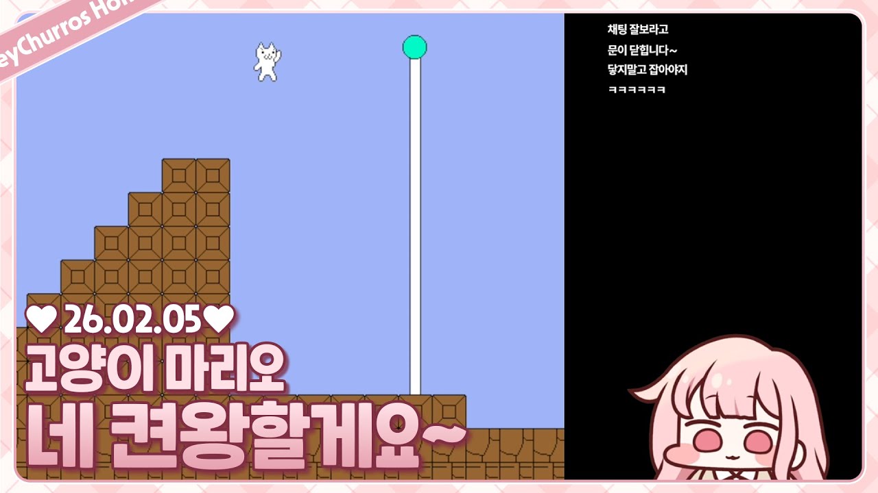켠왕 도전합니다. [고양이 마리오]
