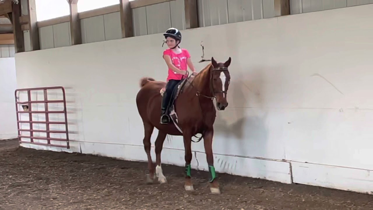 First time cantering!!