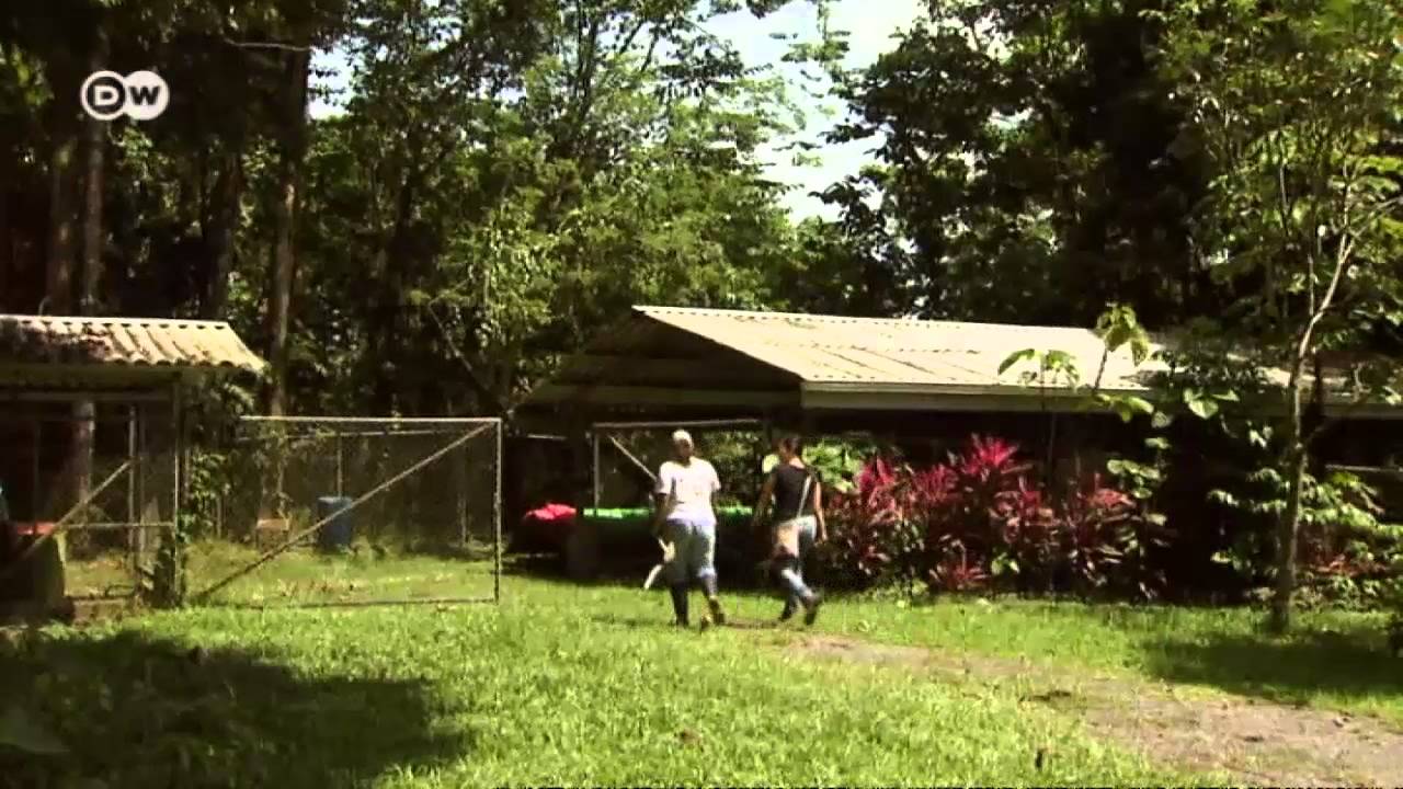 Climate: Theory & Practice - The Earth University in Costa Rica | Global 3000