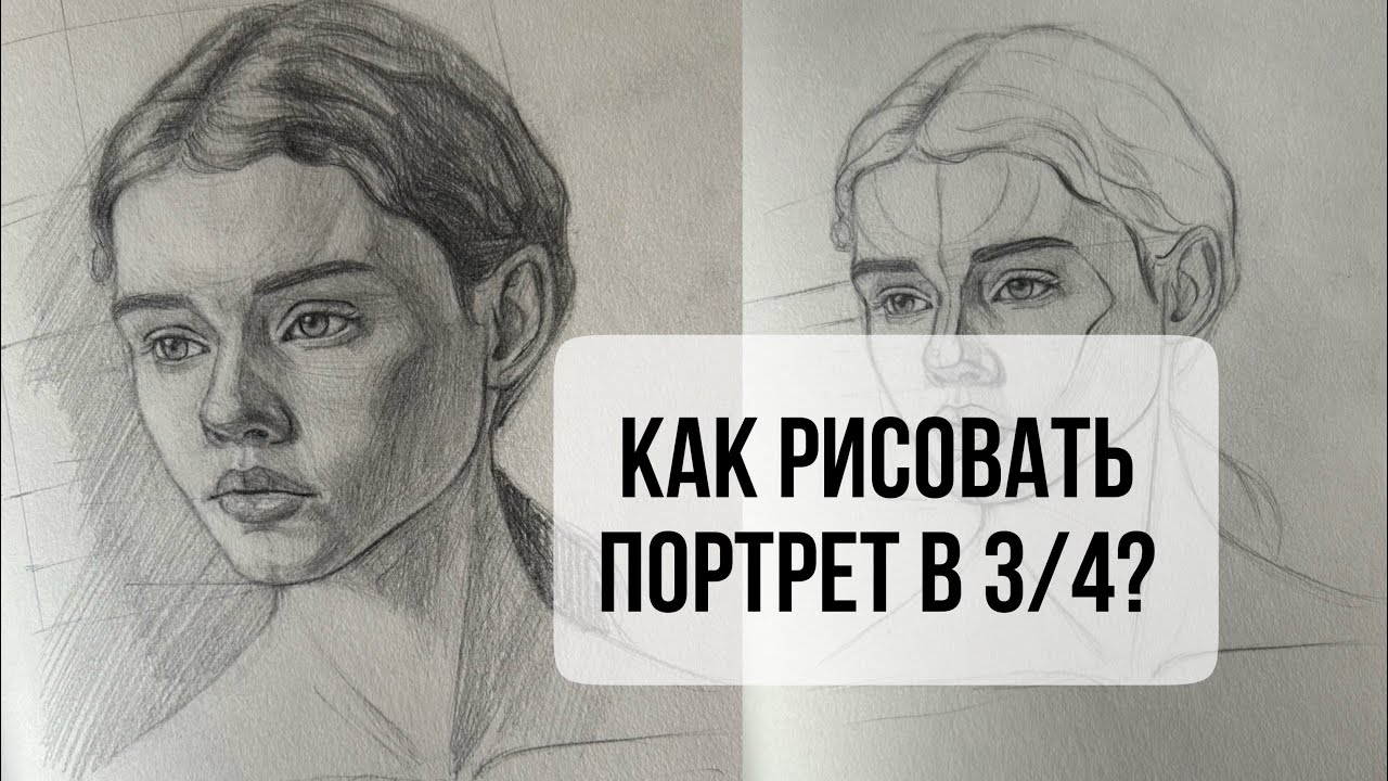 Как рисовать портрет в 3/4? Как строить, находить нужные пропорции и ухватить схожесть #портрет