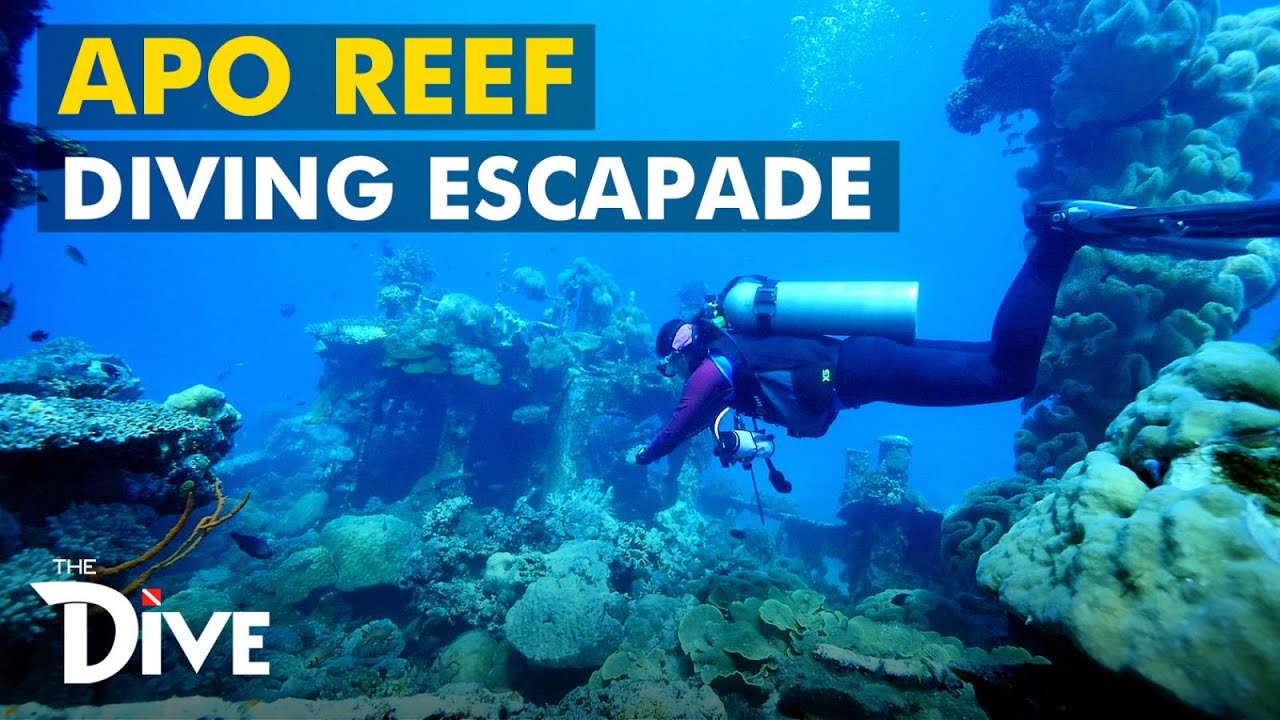 APO REEF: Diving Escapade at  World's 2nd Largest Contiguous Reef | The Dive - Full Episode