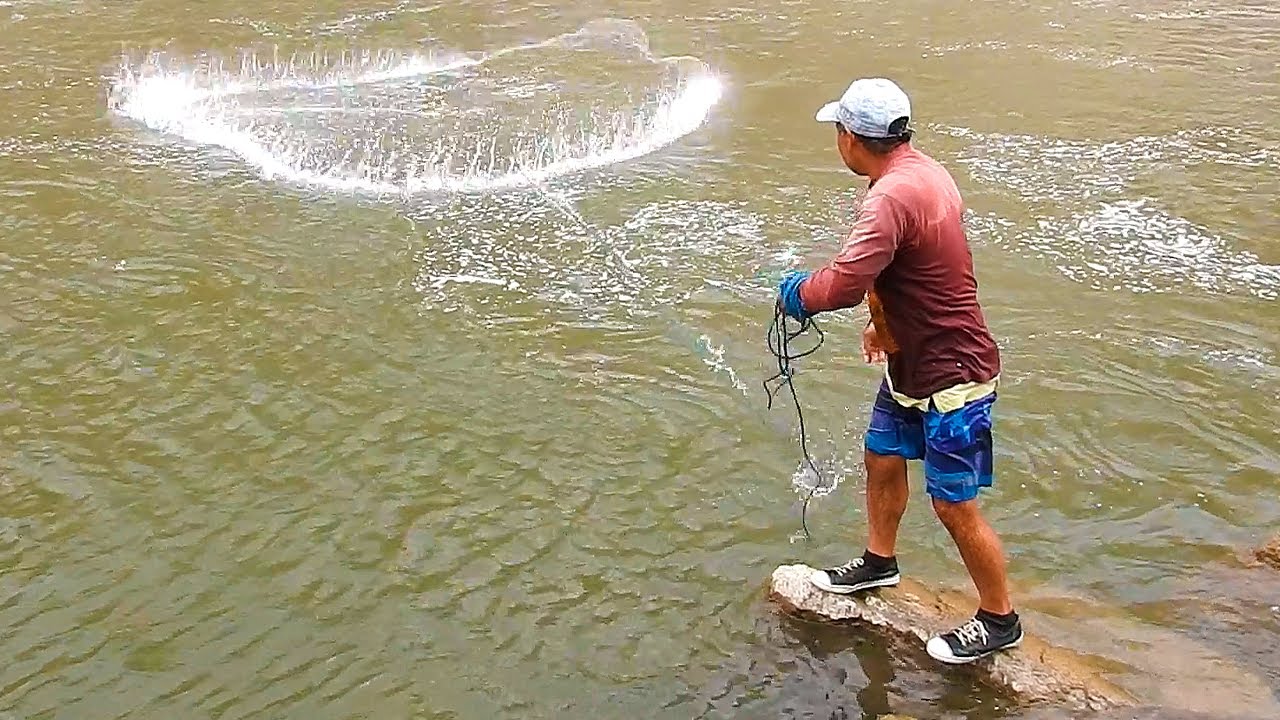 Рыбак поймал целый пруд рыбы кастинговой сетью