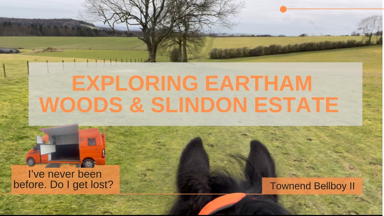 Endurance Training | 22km Explore of Eartham Woods and Slindon Estate | Do I get lost?