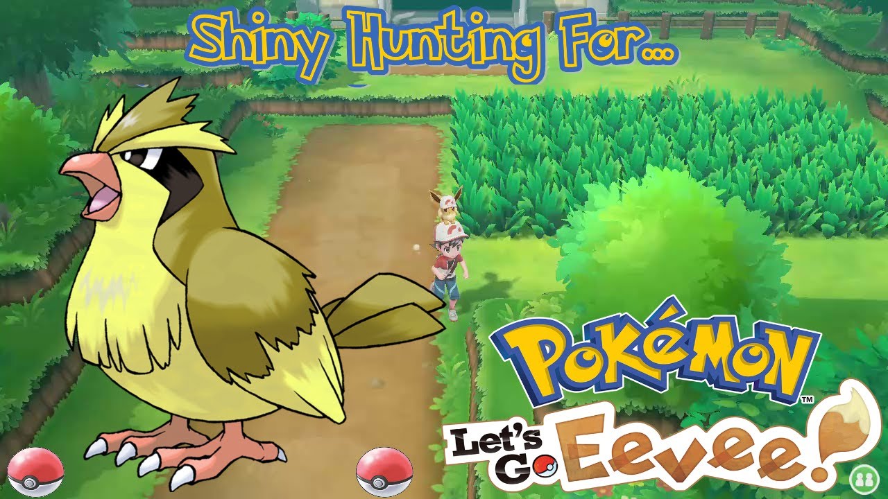 Шайни охотится на Пиджи - Pokemon Let's Go Eevee