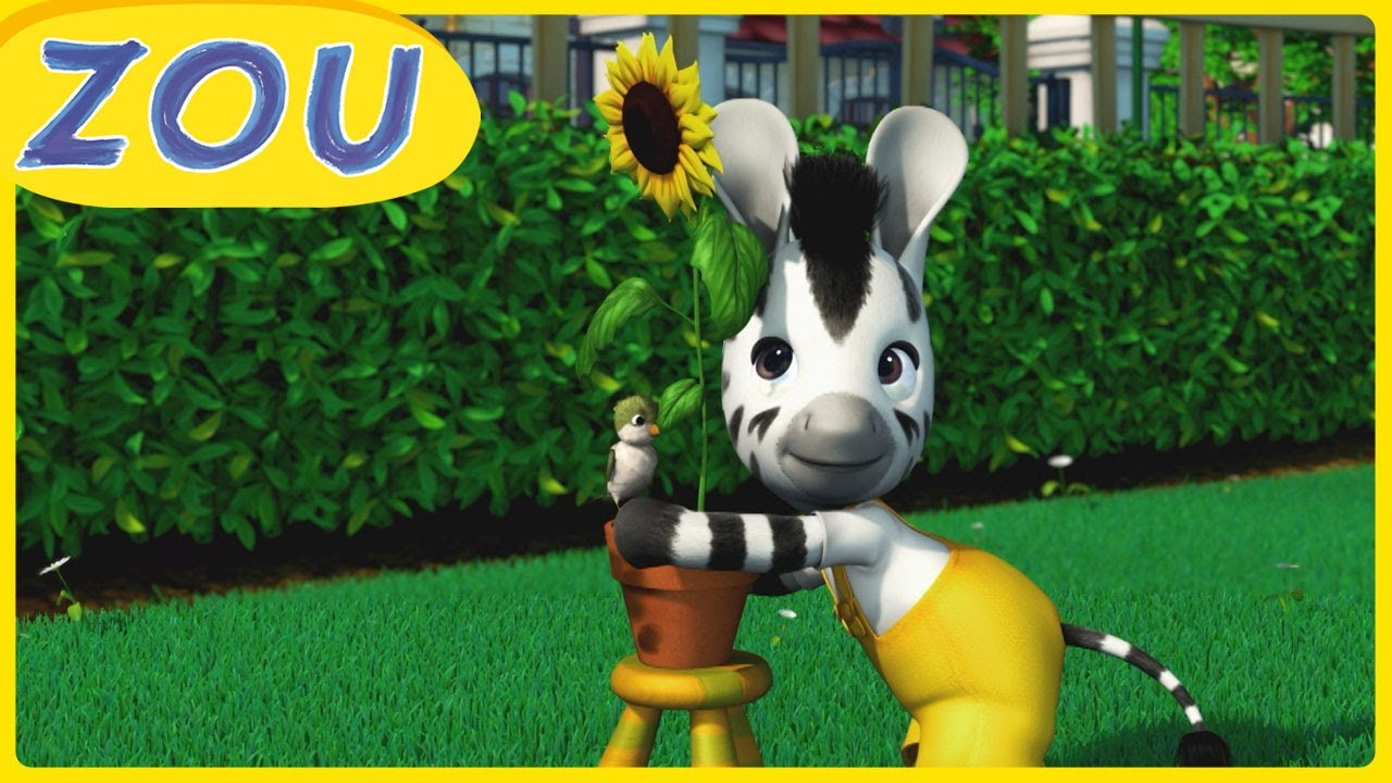 ZOU scopre la primavera | Compilation speciale | ZOU in Italiano 🦓 | Cartoni animati per bambini