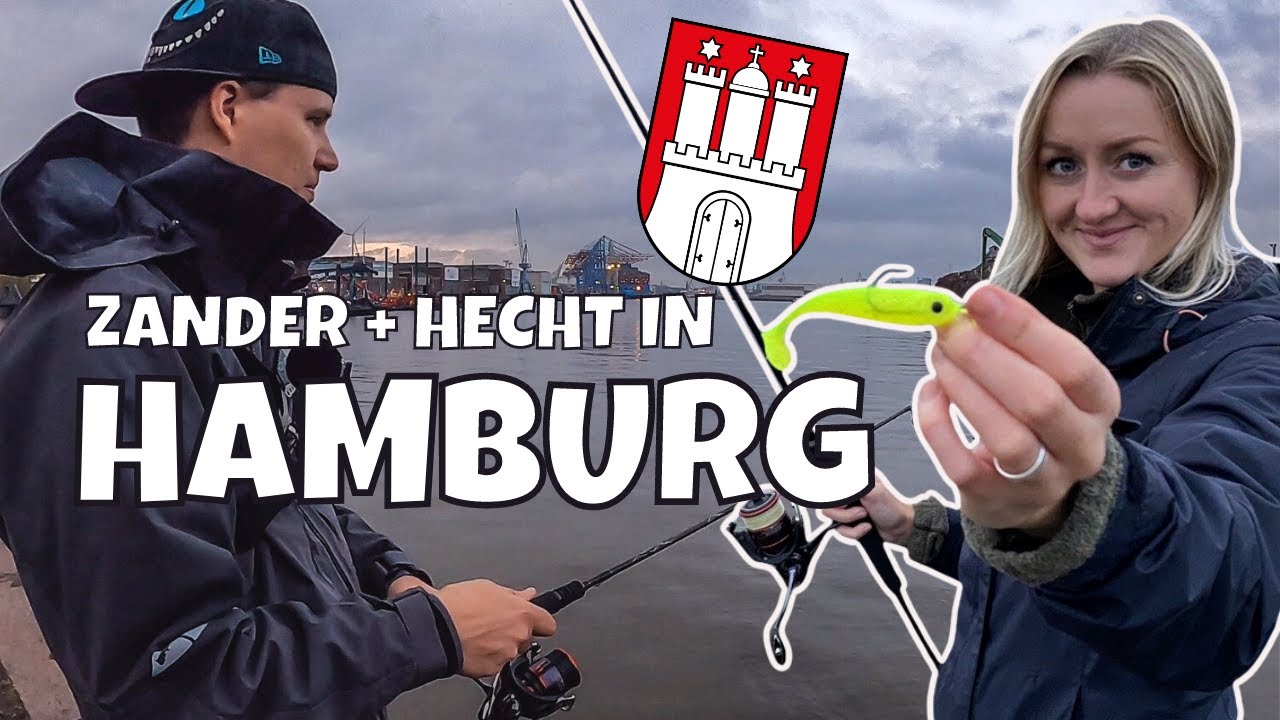 ENDLICH❗Angeln in Hamburg | am Hafen vom Ufer | Zander und Hecht | Vlog #106