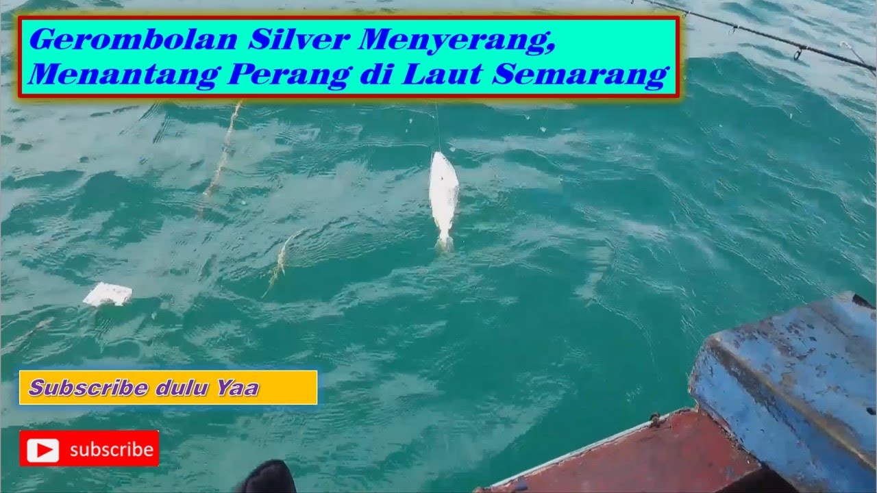 Woedyann.... berperang melawan pasukan kerajaan silver tiga waja di rumpon Semarang Eps. 24