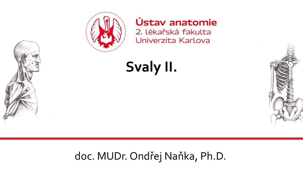 Svaly II  Naňka 22 10 2020