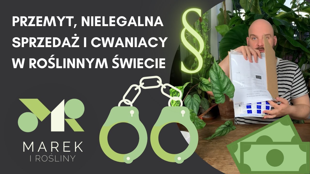 Przemyt, nielegalna sprzedaż i cwaniacy w roślinnym świecie