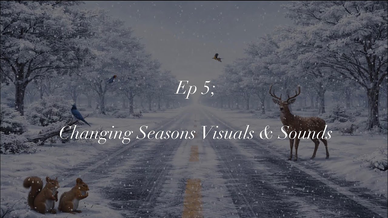 Changing Seasons with Nature Sounds; Episode 5 - The Ambient Series 