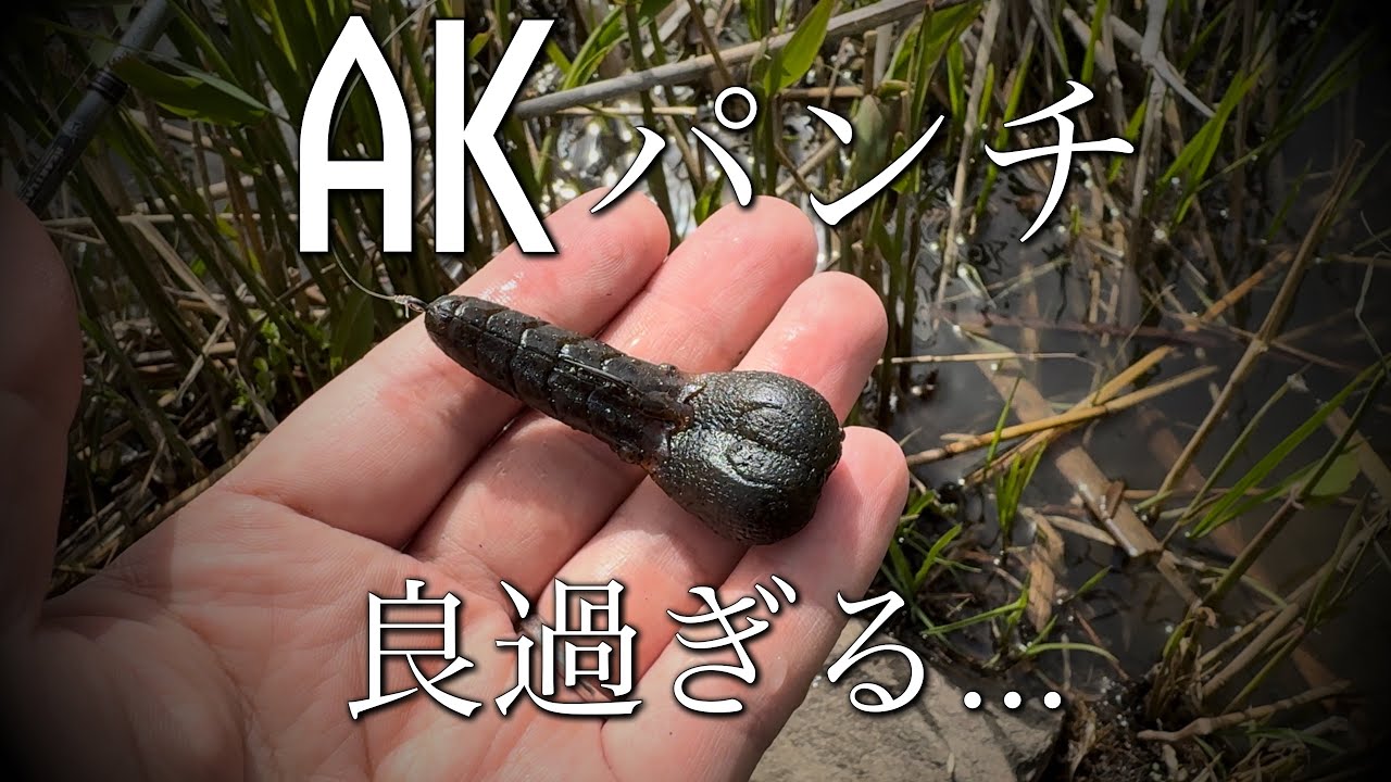 【衝撃】軟疾風とAKパンチで八郎潟攻略…バイト数・バイトの出方が衝撃的過ぎる…フックセッティングはこれで決まり？！