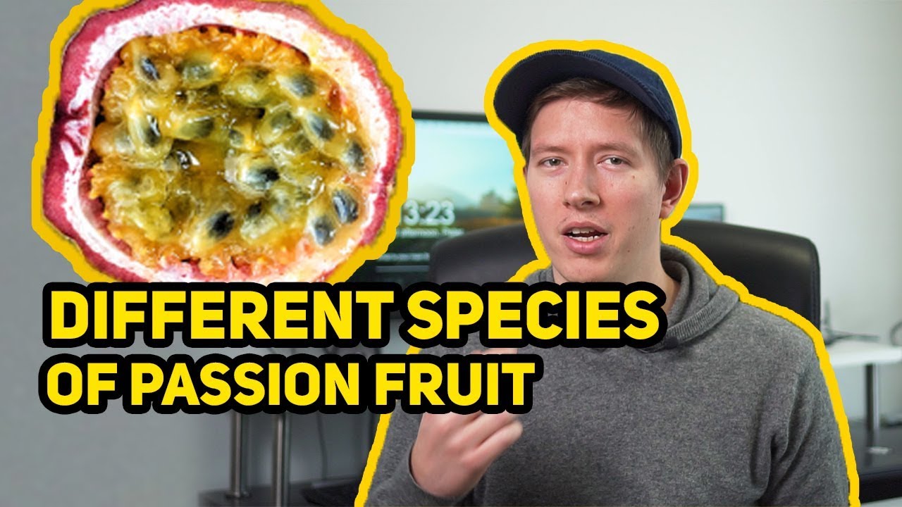 PASSION FRUIT Species - 6 Different Ones