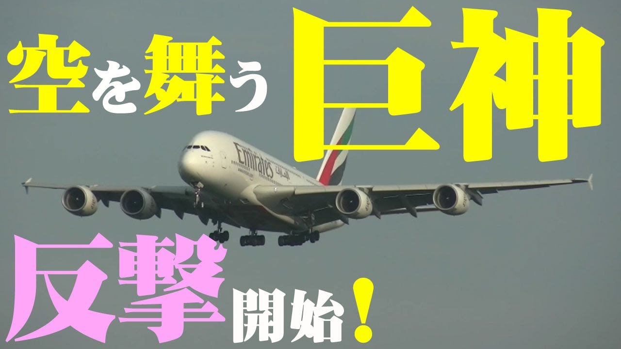 【成田空港】世界最大の超大型旅客機に未来はあるか？成田で逢えるエアバスA380の過去・現在・未来をじっくり見つめてみた