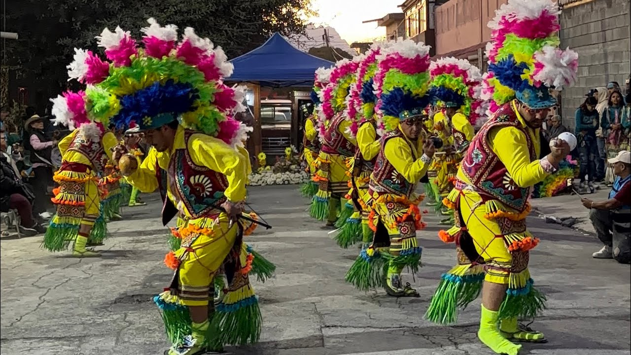 Danza Chichimeca Guadalupana “Reliquia” 2026 (1)