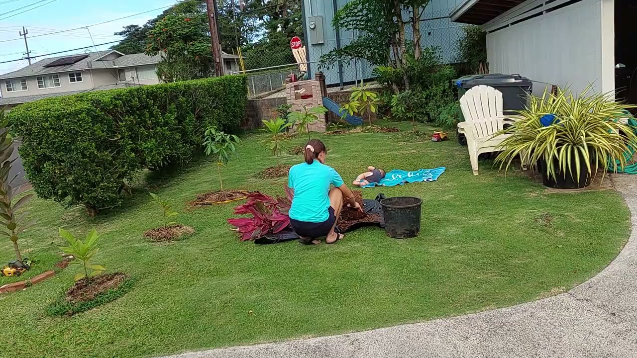 Front yard fruit trees