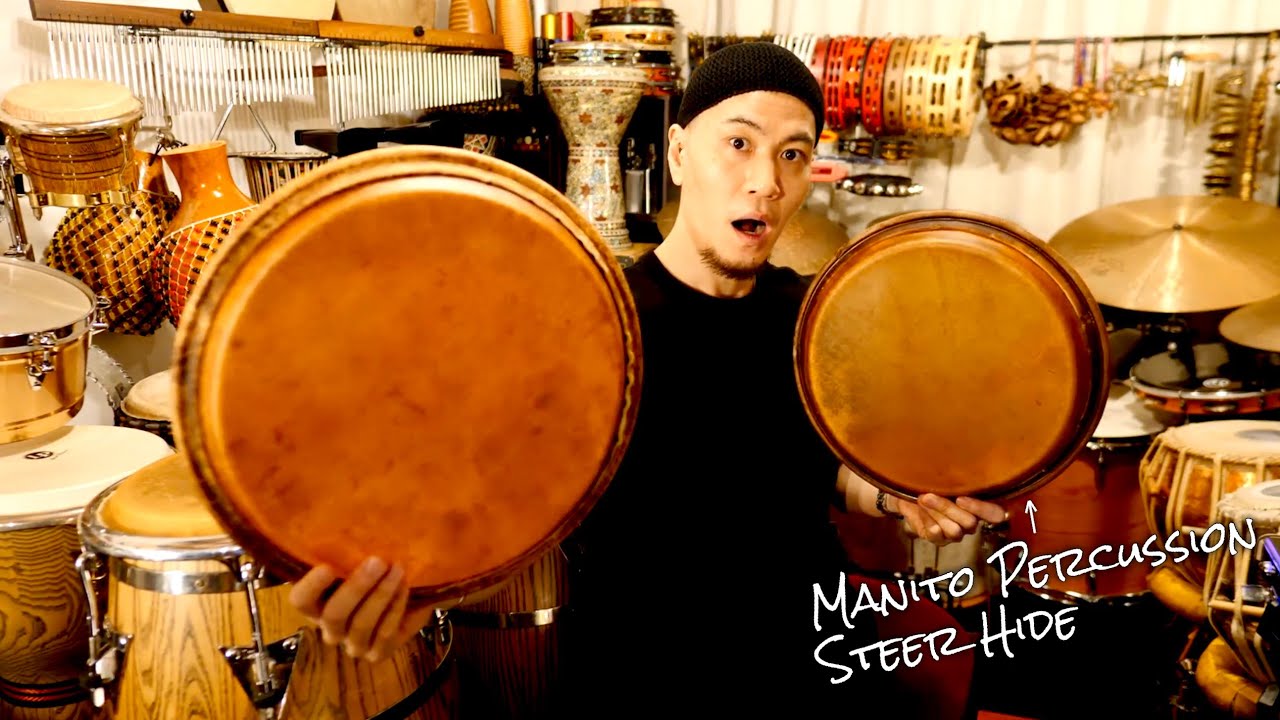 【コンガ】激ヤバヘッドを手に入れました！【Manito Percussion Steer Hide】