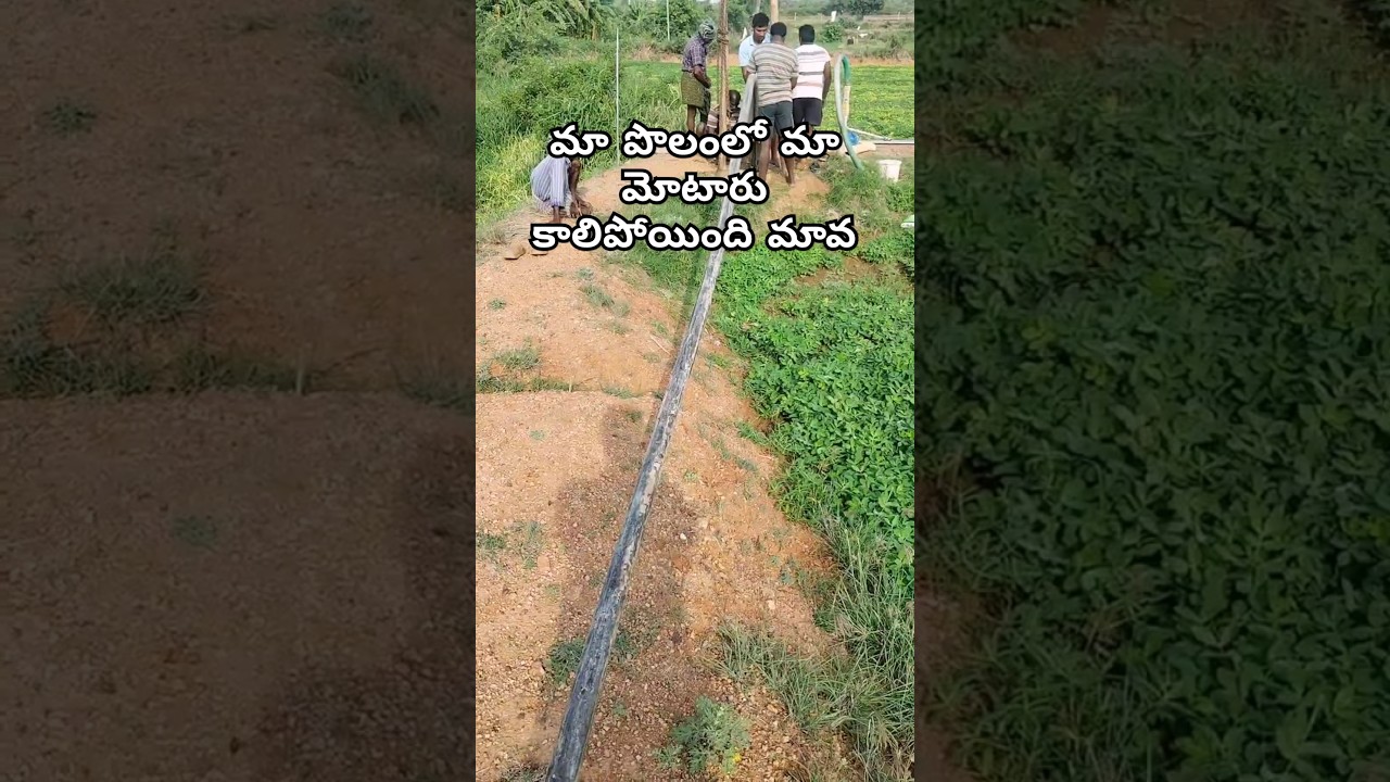 మా పొలంలో మా మోటారు కాలిపోయింది మావ| అది కొత్తది ఫిక్స్ చేయాలి అంటే 20 వేల రూపాయలు అవుతుంది మావ