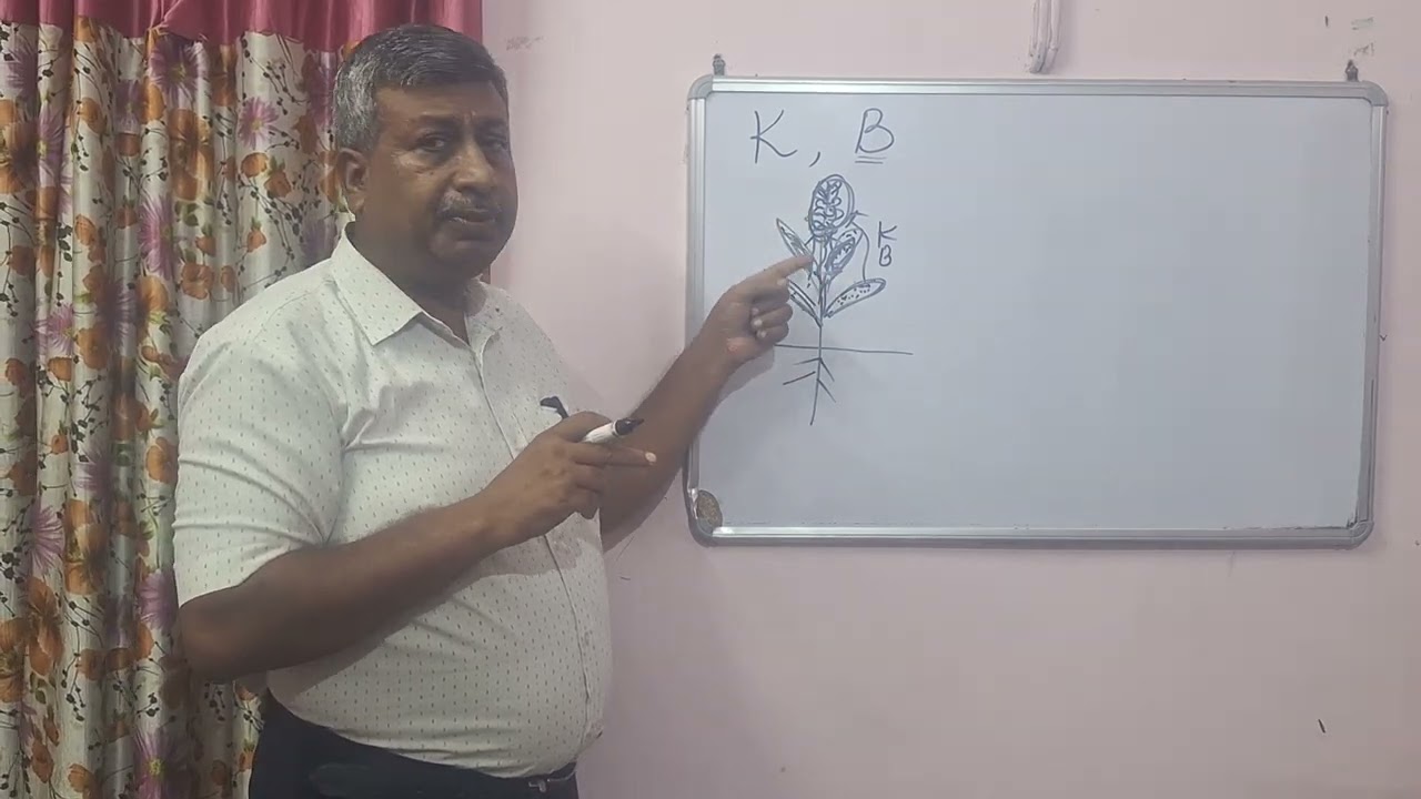 दो पोषक तत्व जो बीज बनने व भरने के लिए जरूरी हैं