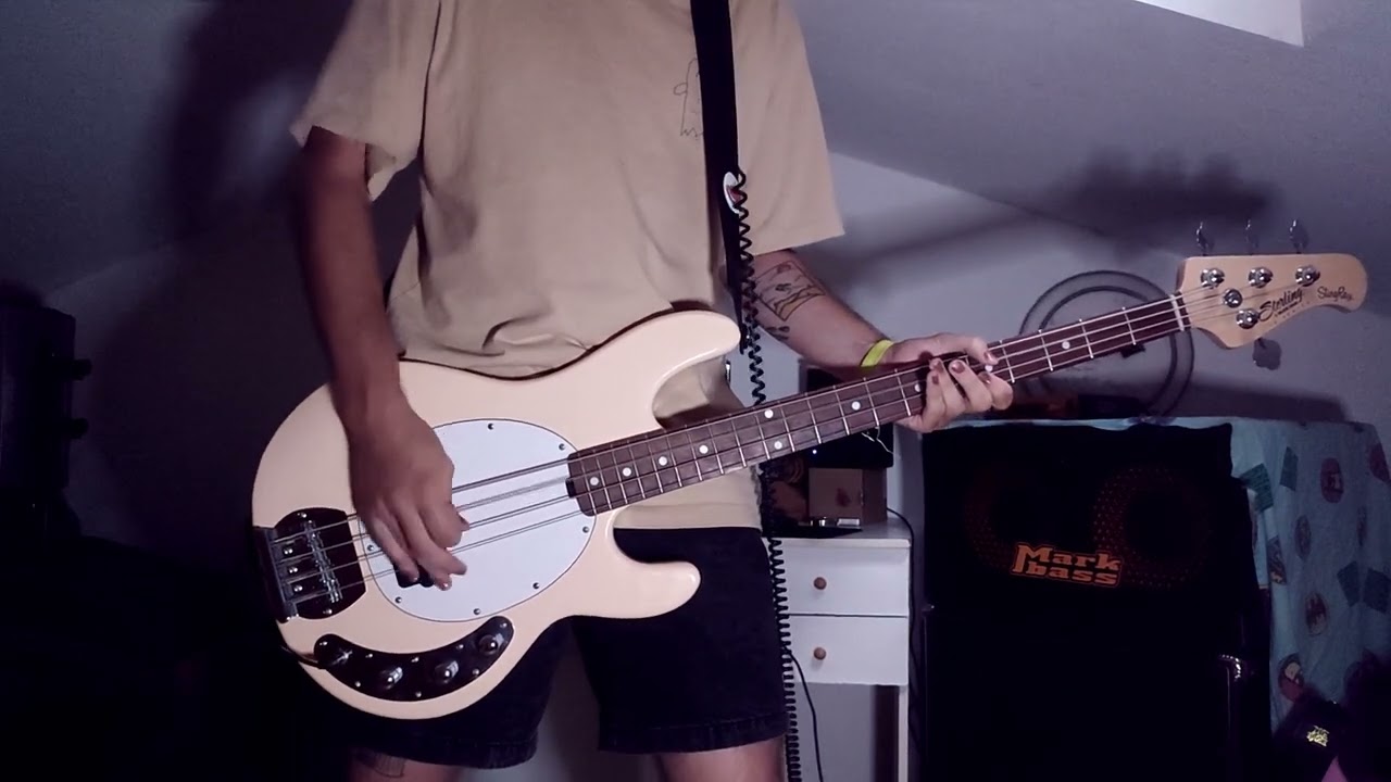 Turnstile - LOOK OUT FOR ME [Bass Cover]