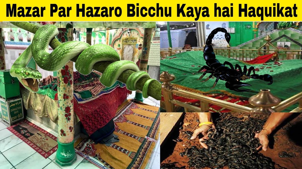 Bicchu Wale Baba ki Haquikat | A Mysterious Dargah in Uttar Pradesh at Amroha