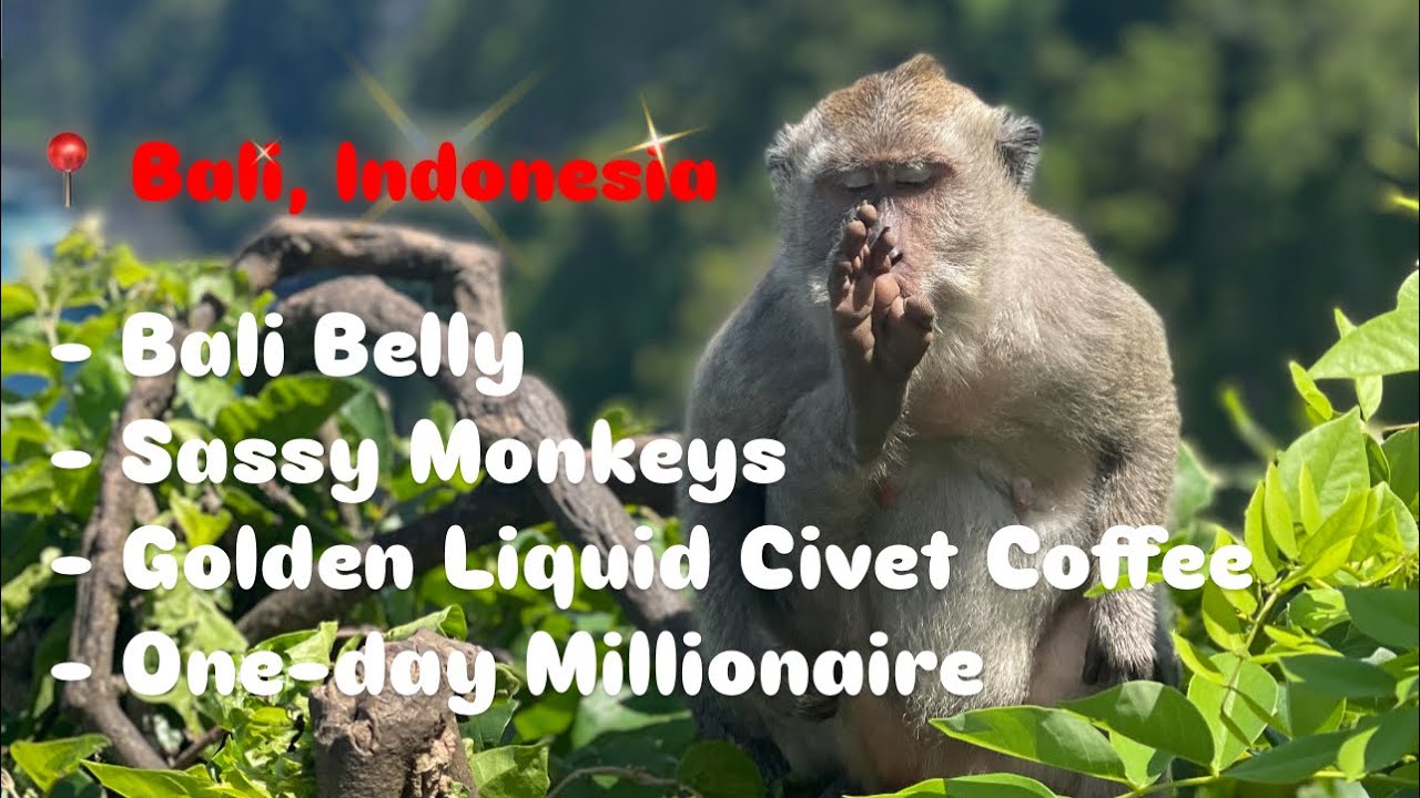Indonesia 🇮🇩 | The Philippines Passport