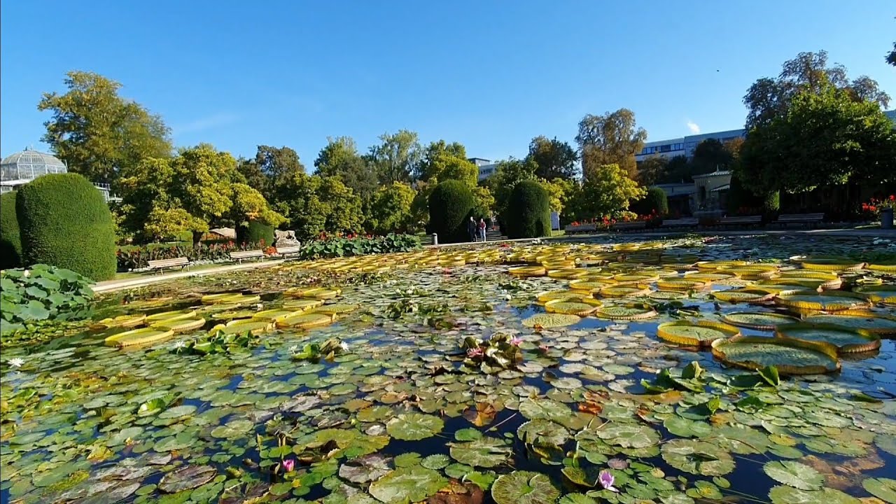 Wilhelma Stuttgart   teil 1/3