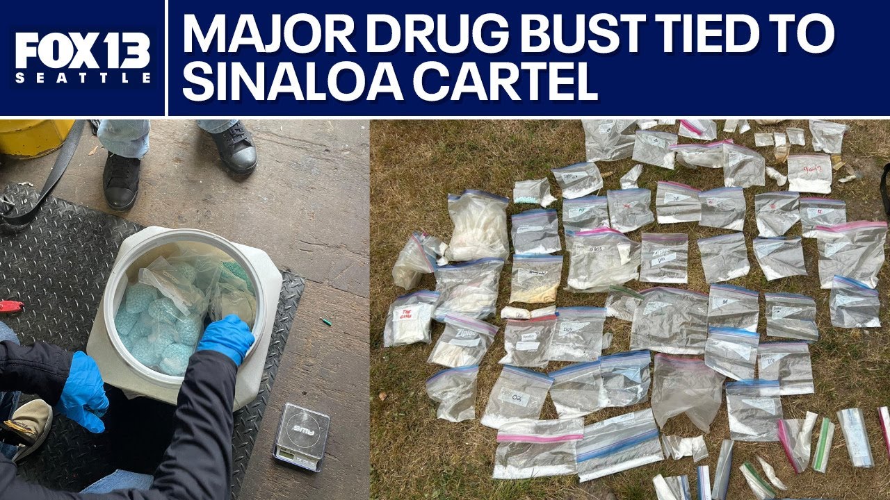 Washingtonians charged in Sinaloa cartel-connected drug bust | FOX 13 Seattle