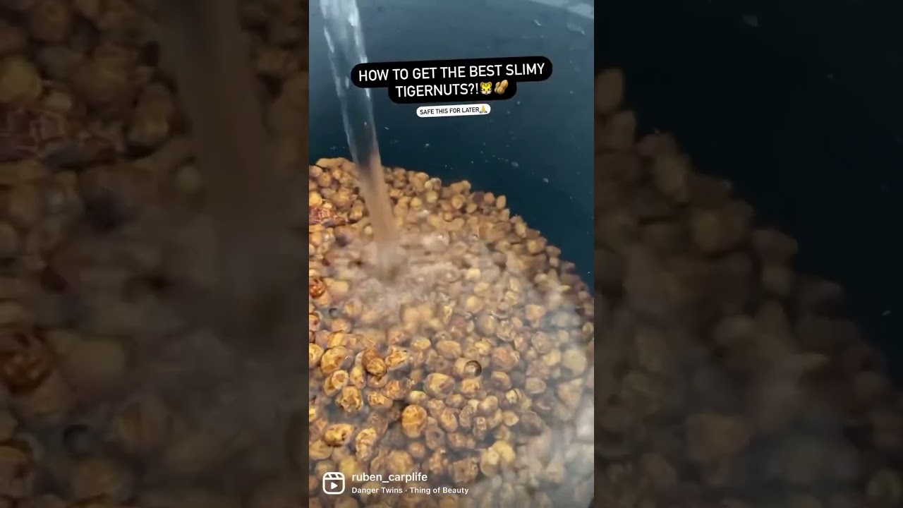 HOW TO GET THE BEST SLIMY TIGERNUTS?! 