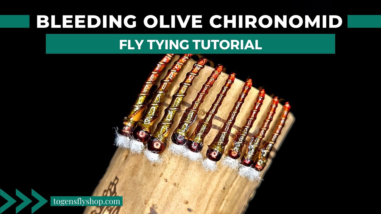 Bleeding Olive Chironomid - Fly Tying Tutorial