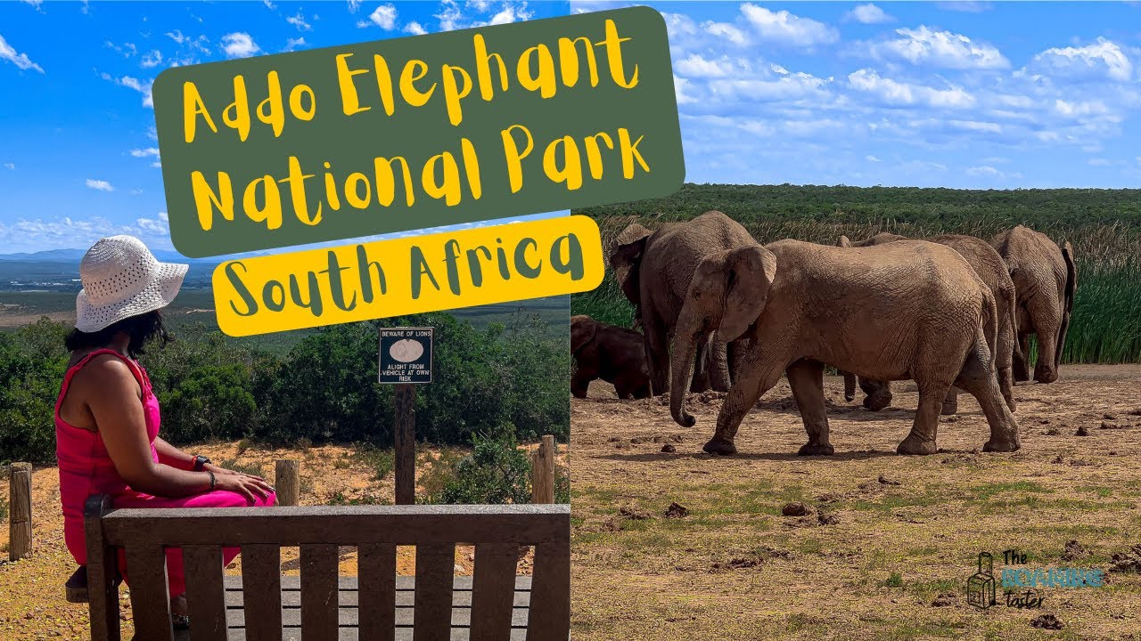 Addo Elephant National Park | South Africa | Port Elizabeth |