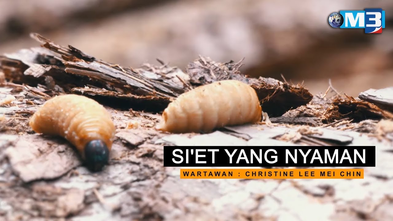 [FULL] Majalah 3 (2022) | 13 Jun -  Si’et Yang Nyaman