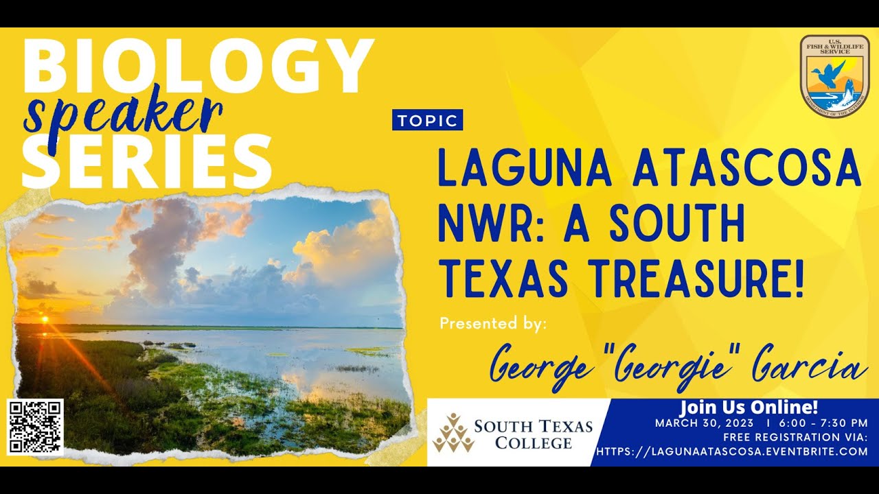Laguna Atascosa NWR: A South Texas Treasure
