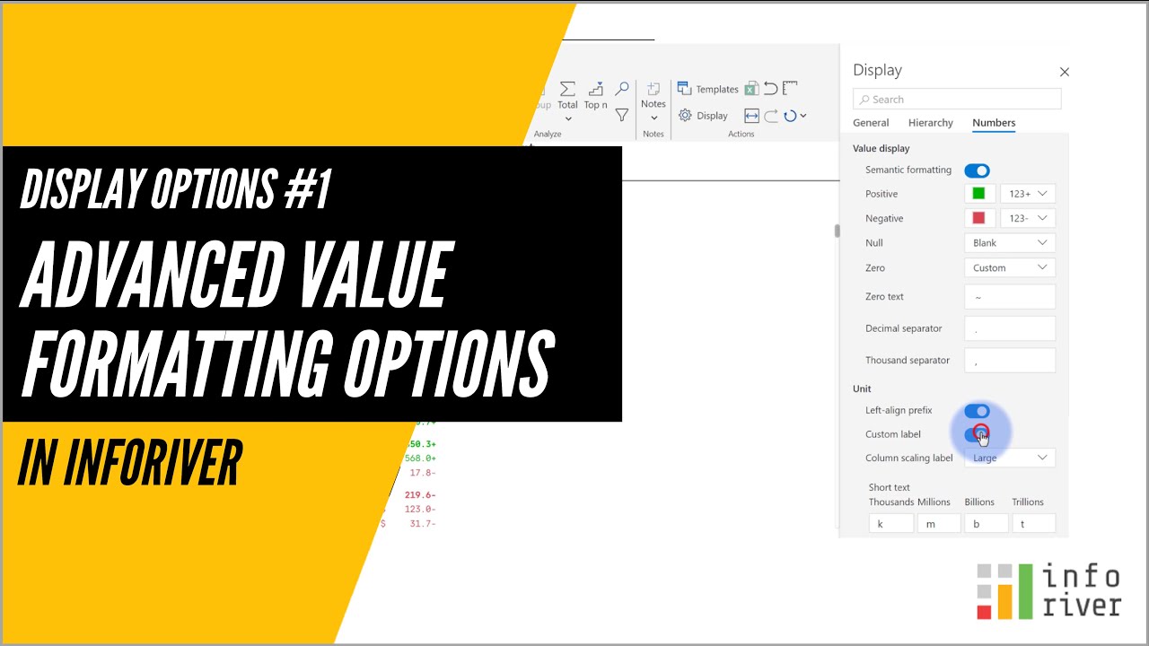 Display Options #1 - Advanced Value Formatting Options in Inforiver