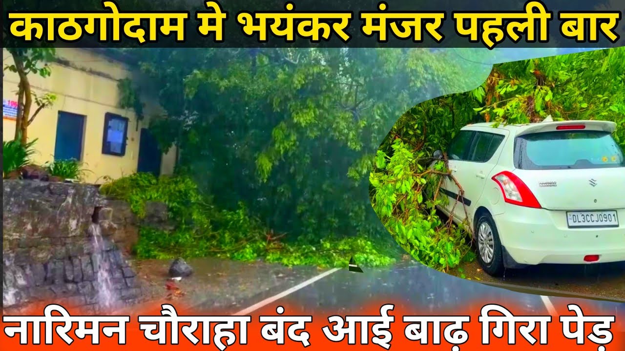 Haldwani Kathgodam Gira Ped | काठगोदाम  बारिश का कहर से पाखर पेड़ गिरा बाल बाल बचे |